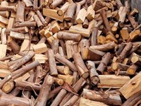 3 puntos claves a la hora de vender madera