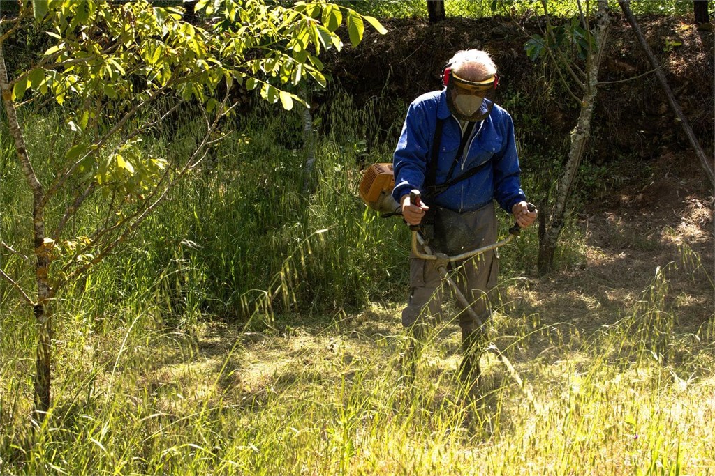 5 cuestiones que tener en cuenta en los trabajos de desbroce