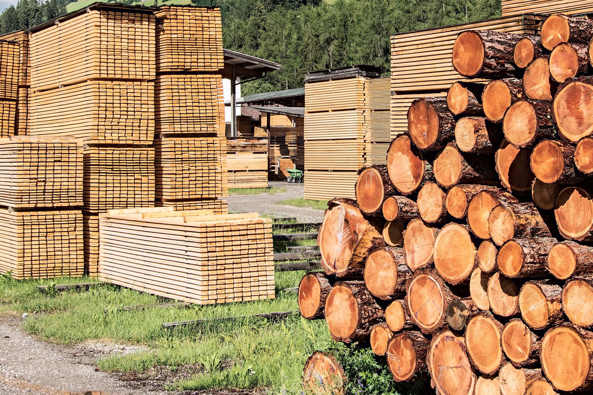 Aserradero expertos en madera en Galicia