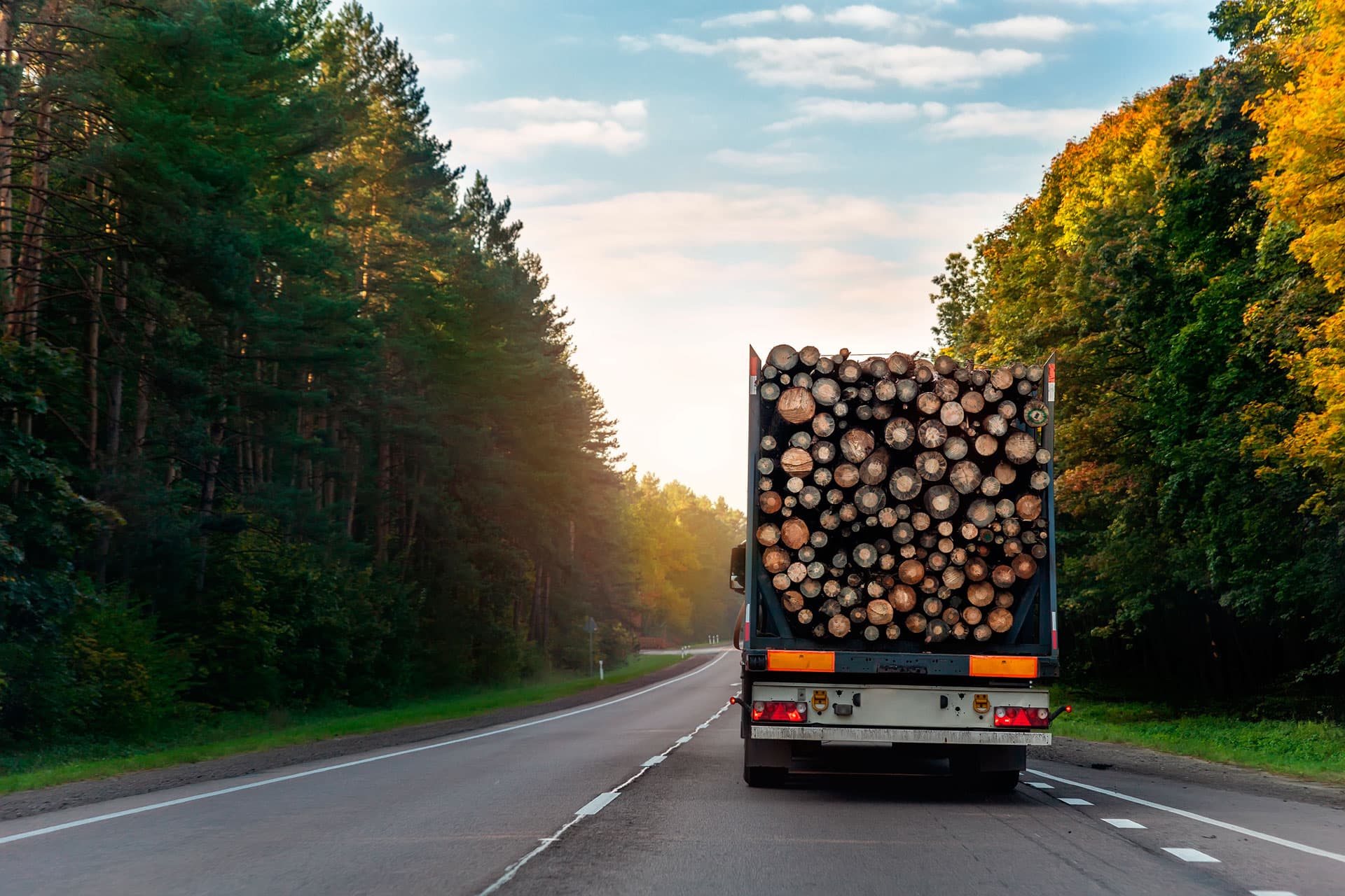 Compra de madera en Galicia