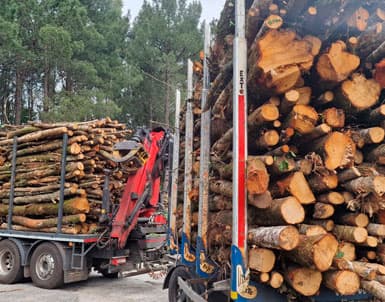 Comprar madera en A Estrada