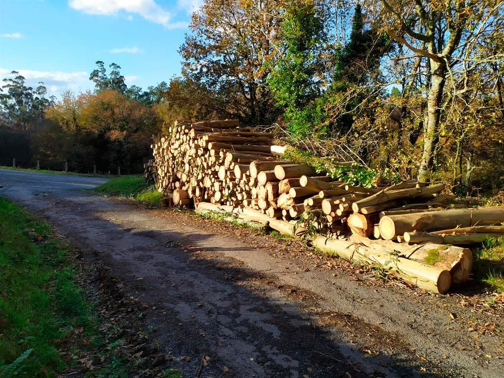 Tarrioforest aserradero en A Estrada