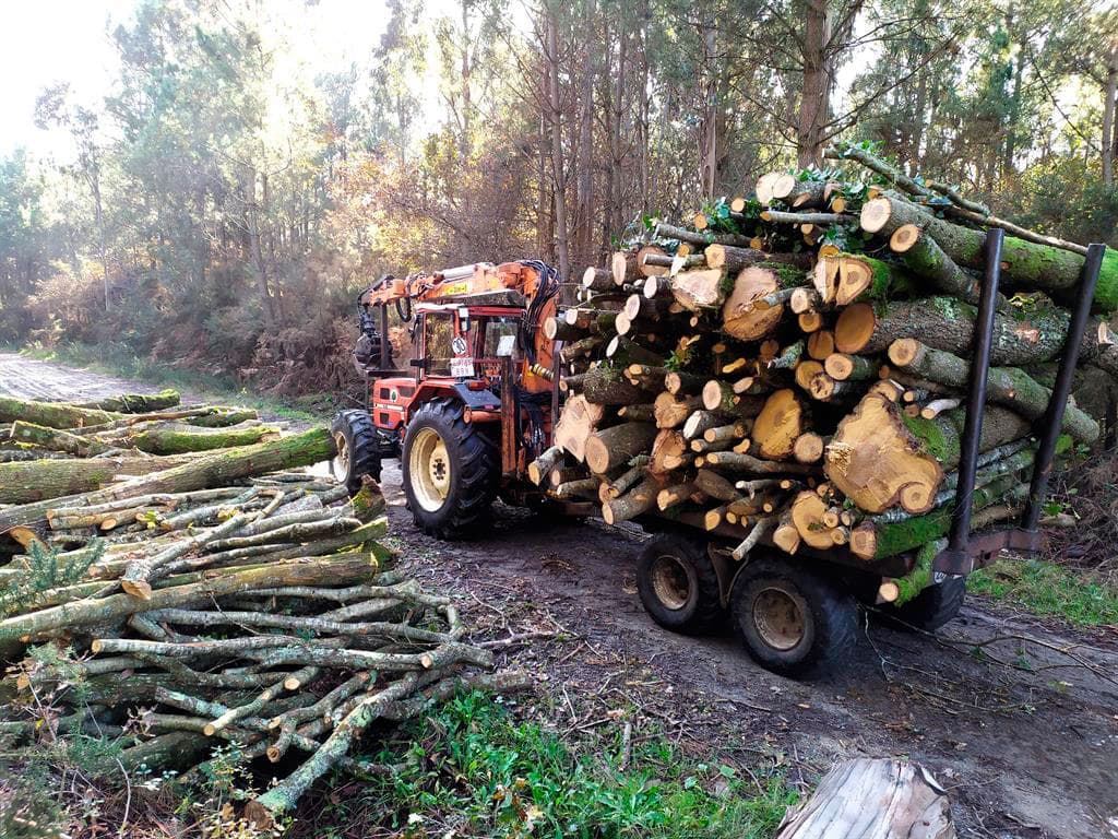 Tarrioforest aserradero en A Estrada