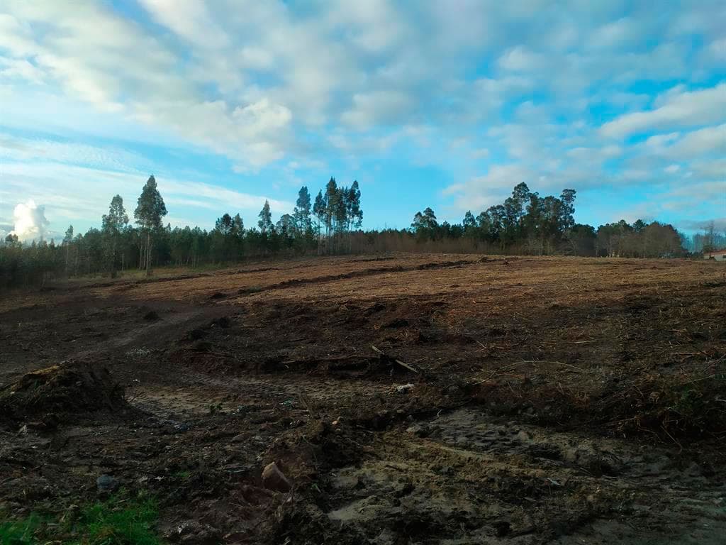 Tarrioforest aserradero en A Estrada